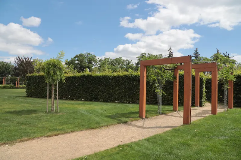 Een strak geschoren haag met een houten pergola op een gazon